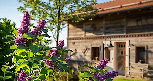 Ferienhäuser im Bayerischen Wald